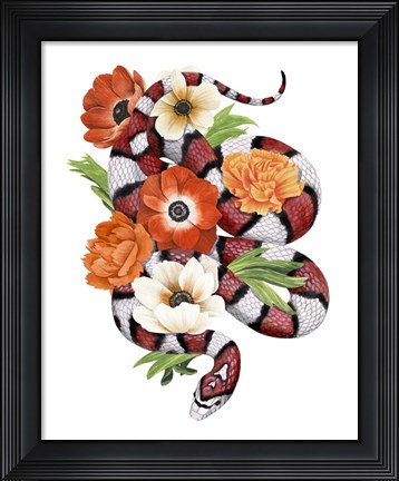 Framed King Snake II Print