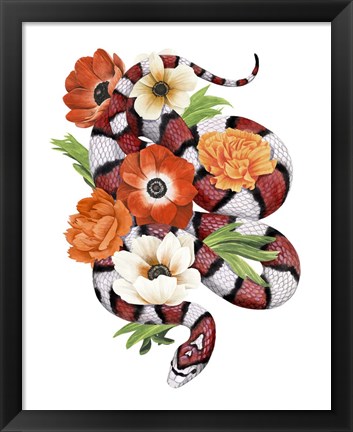 Framed King Snake II Print