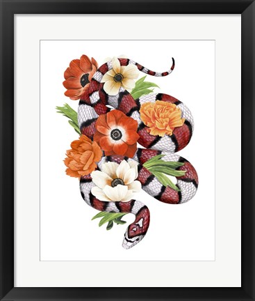 Framed King Snake II Print