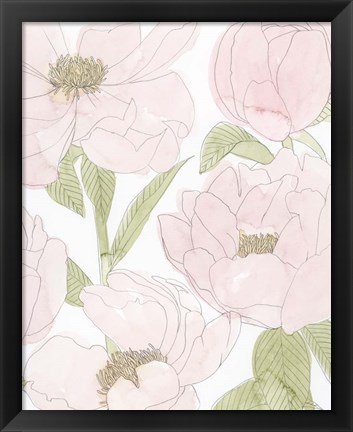 Framed Veiled Peonies II Print