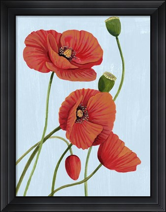 Framed Poppy Topple I Print