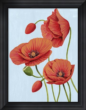 Framed Poppy Topple II Print