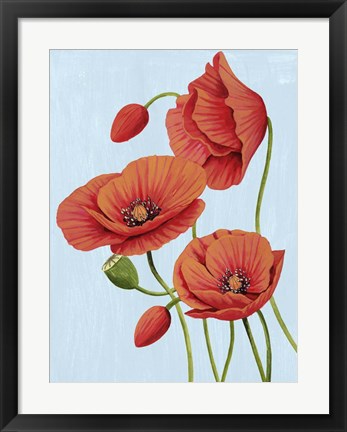 Framed Poppy Topple II Print