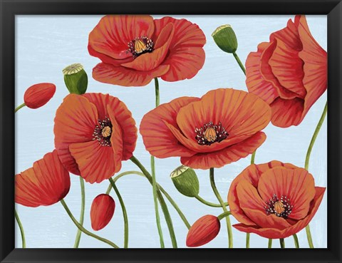 Framed Poppy Topple III Print