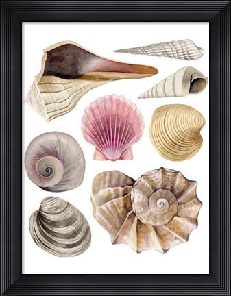 Framed Sea Souvenirs I Print
