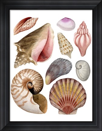 Framed Sea Souvenirs II Print