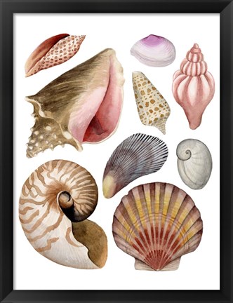 Framed Sea Souvenirs II Print