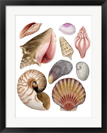 Framed Sea Souvenirs II Print