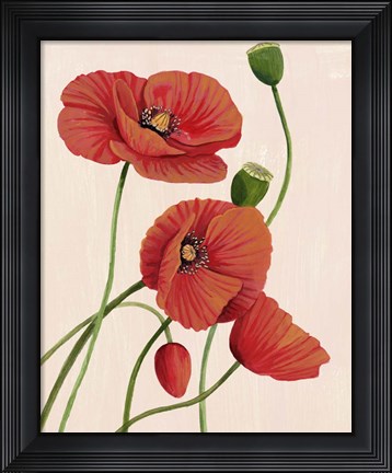 Framed Soft Coral Poppies I Print
