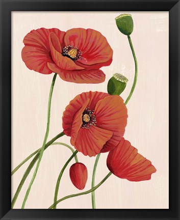 Framed Soft Coral Poppies I Print