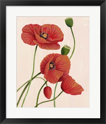 Framed Soft Coral Poppies I Print