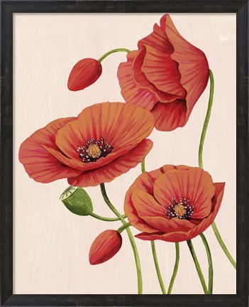 Framed Soft Coral Poppies II Print
