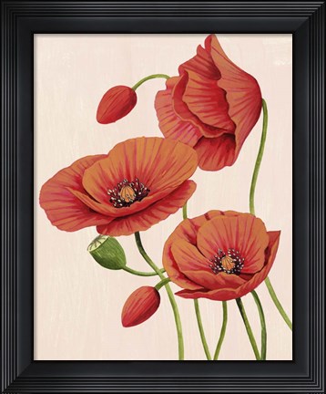 Framed Soft Coral Poppies II Print