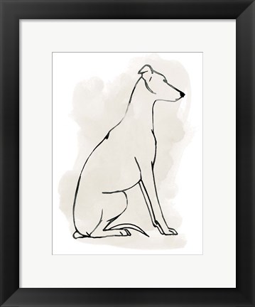 Framed Greyhound Sketch I Print