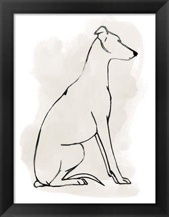 Framed Greyhound Sketch I Print