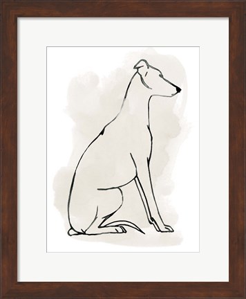 Framed Greyhound Sketch I Print