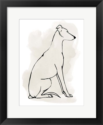 Framed Greyhound Sketch I Print