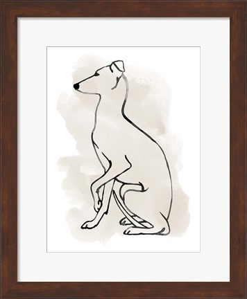 Framed Greyhound Sketch II Print