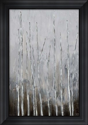Framed Bare Tree Tops II Print