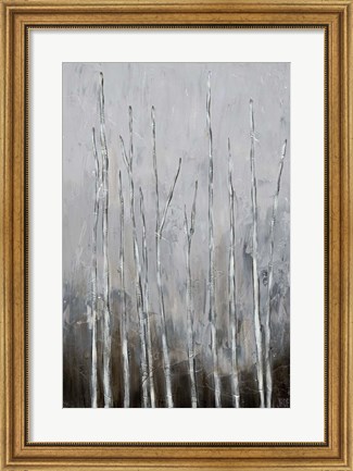 Framed Bare Tree Tops II Print
