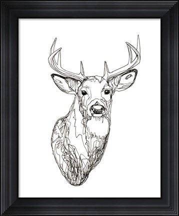 Framed Whitetail Wireframe I Print