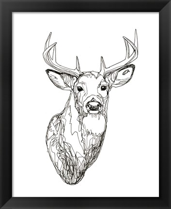 Framed Whitetail Wireframe I Print