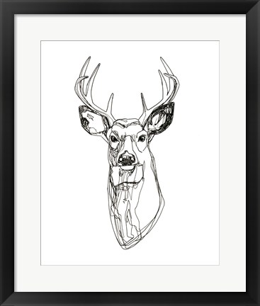 Framed Whitetail Wireframe II Print