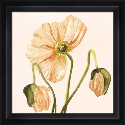 Framed Highpoint Poppies I Print