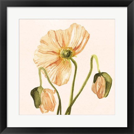 Framed Highpoint Poppies I Print