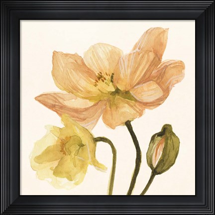 Framed Highpoint Poppies II Print