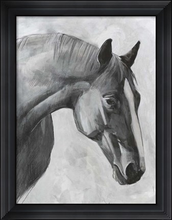 Framed Cavallo I Print