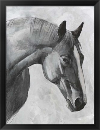 Framed Cavallo I Print