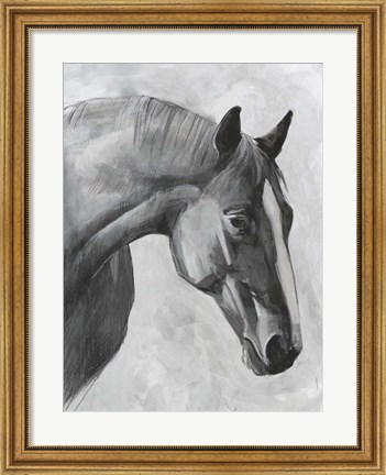 Framed Cavallo I Print