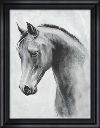 Framed Cavallo II Print