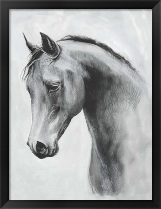 Framed Cavallo II Print