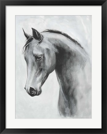 Framed Cavallo II Print