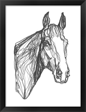 Framed Equine Contour I Print