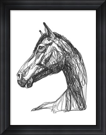 Framed Equine Contour IV Print