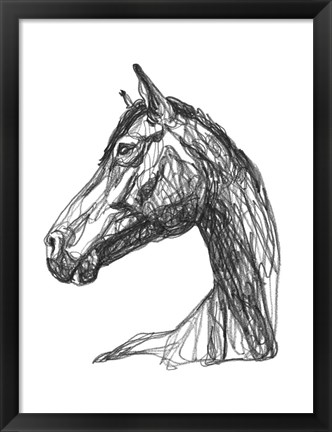 Framed Equine Contour IV Print