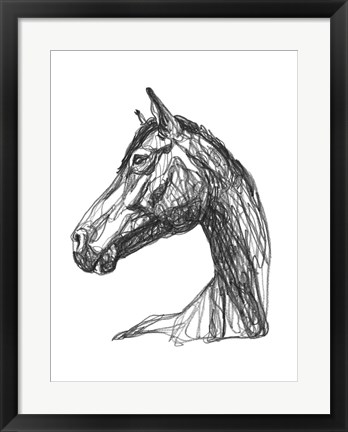 Framed Equine Contour IV Print