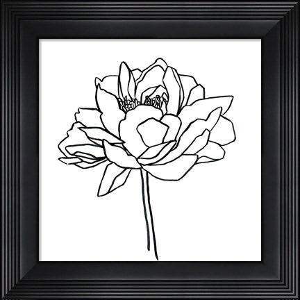 Framed Peony Contour II Print