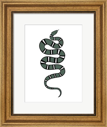 Framed Epidaurus Snake V Print
