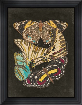 Framed Winged Patterns I Print