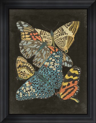 Framed Winged Patterns II Print