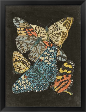 Framed Winged Patterns II Print