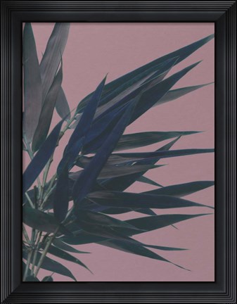 Framed Bamboo Pink I Print