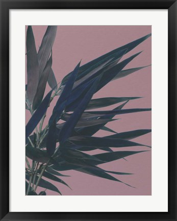 Framed Bamboo Pink I Print