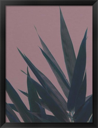 Framed Bamboo Pink II Print