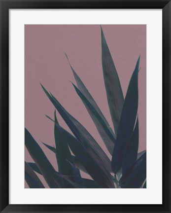 Framed Bamboo Pink II Print