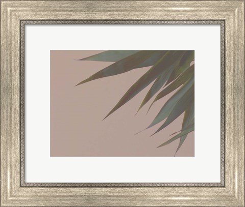 Framed Bamboo Pink III Print